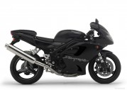 Triumph Daytona 955i Triumph Daytona 955i